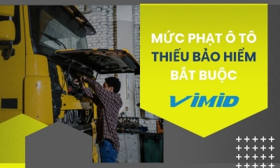 Mức Phạt Bảo Hiểm Ô Tô 2025: Thông Tin Chi Tiết Bạn Cần Biết