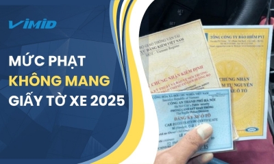 Lỗi Không Mang Giấy Tờ Xe: Mức Phạt Mới Nhất 2025 Nghị Định 168