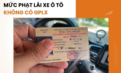 Mức Phạt Không Có Giấy Phép Lái Xe Ô Tô 2025: Quy Định Mới Nhất và Cách Tránh Vi Phạm