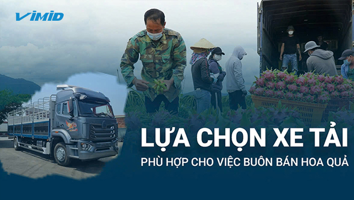 Kinh nghiệm lựa chọn xe tải phù hợp cho việc buôn bán hoa quả