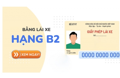 Bằng B2 lái được xe tải bao nhiêu tấn? Chi phí thi bằng lái B2 bao nhiêu?