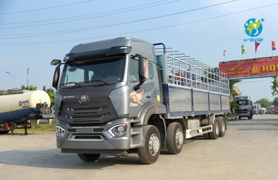 Lái Xe Tải Cần Những Giấy Tờ Gì? Quy Định Xử Phạt Khi Vi Phạm?