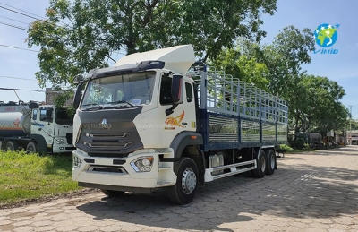 Thi Bằng Lái Xe Tải Bao Nhiêu Tuổi? Thời Gian Học Bao Lâu