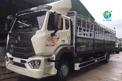 Xe Howo 8 Tấn Giá Bao Nhiêu Và Những Điều Bạn Cần Biết