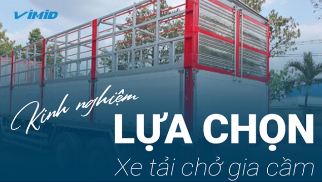 Kinh nghiệm chọn xe tải chở gia cầm - Nâng cao hiệu quả công việc