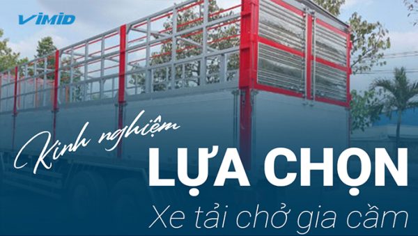 Kinh nghiệm chọn xe tải chở gia cầm – Nâng cao hiệu quả công việc