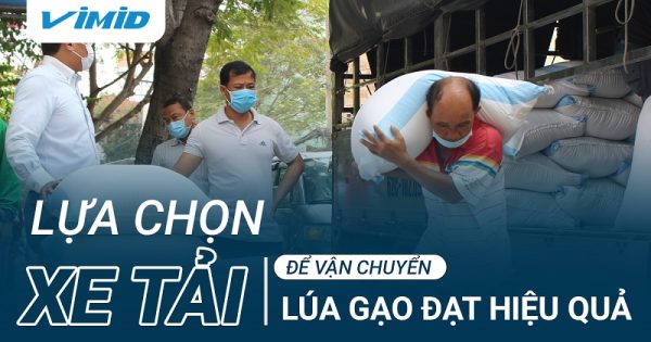 Nên chọn xe tải gì để vận chuyển lúa gạo đạt hiệu quả