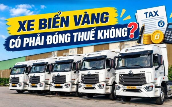 Xe biển vàng có phải đóng thuế không? Quy định mới 2026