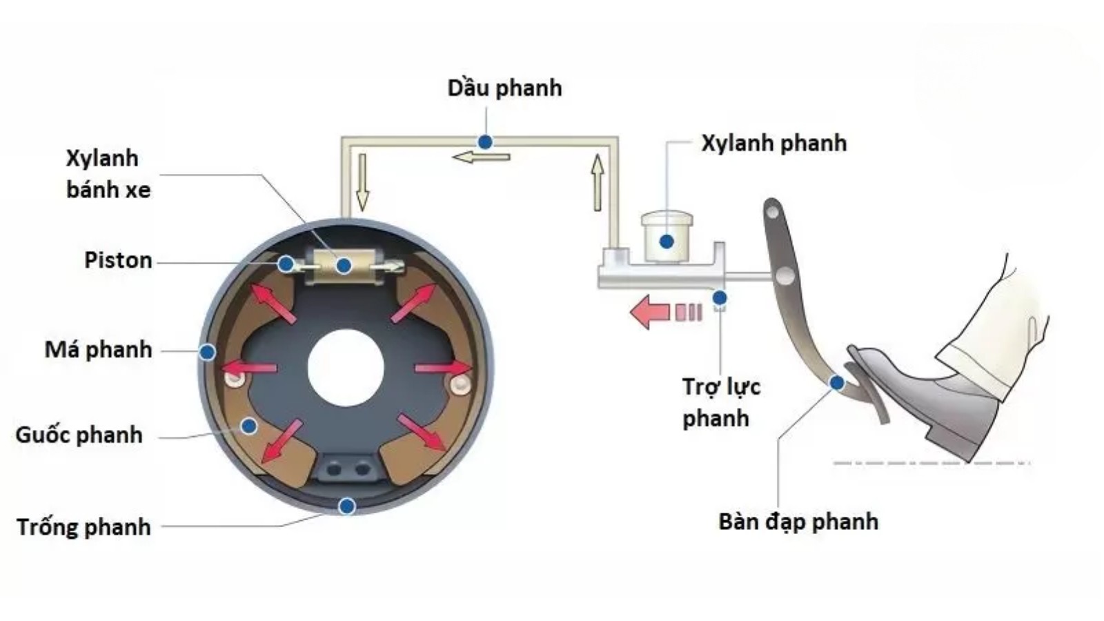 Brake ô tô: Hệ thống phanh an toàn trên ô tô 3 Brake ô tô: Hệ thống phanh an toàn trên ô tô