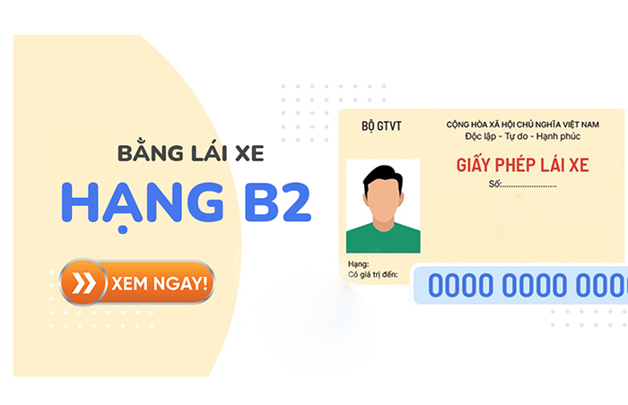 Bằng lái xe B2 có thể lái được những loại xe nào?
