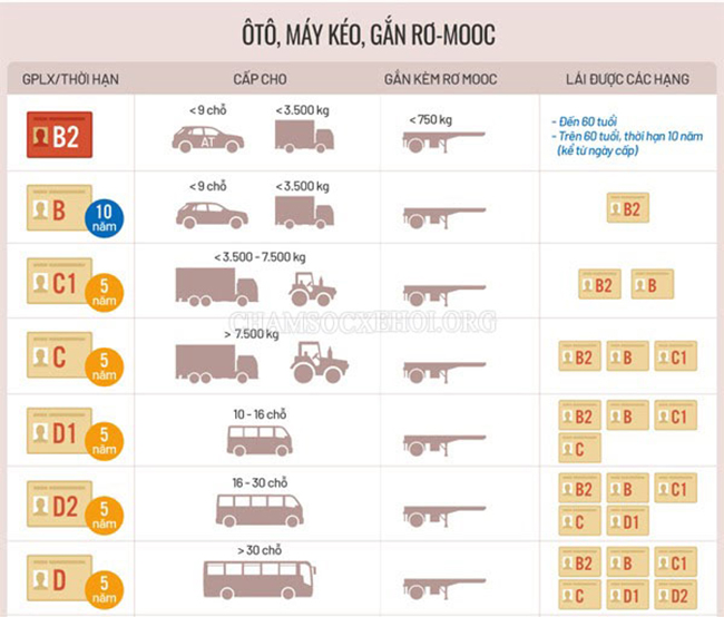 Các loại giấy phép lái xe theo quy định của pháp luật