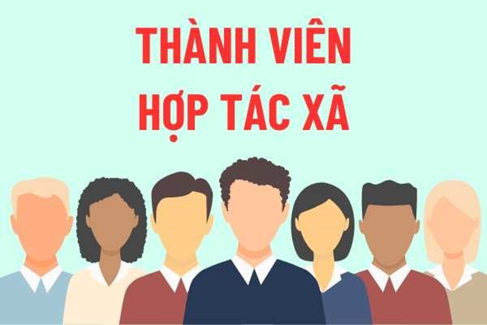 Vậy có nên tham gia hợp tác xã vận tải?