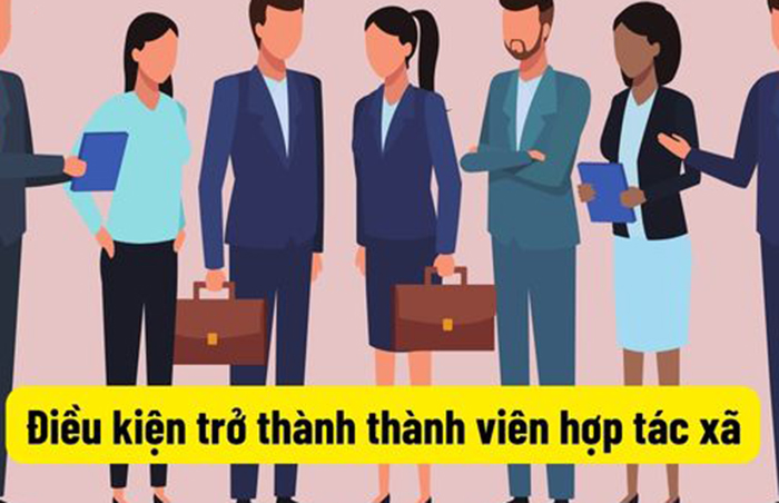 Quy định xe tải vào hợp tác xã